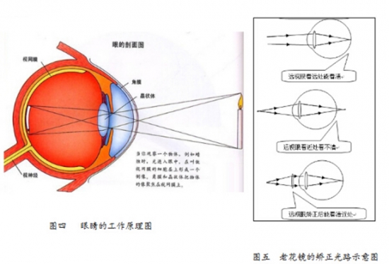 美麗島眼鏡：老花鏡不可隨意亂帶，需要在專(zhuān)業(yè)驗(yàn)光后科學(xué)配制